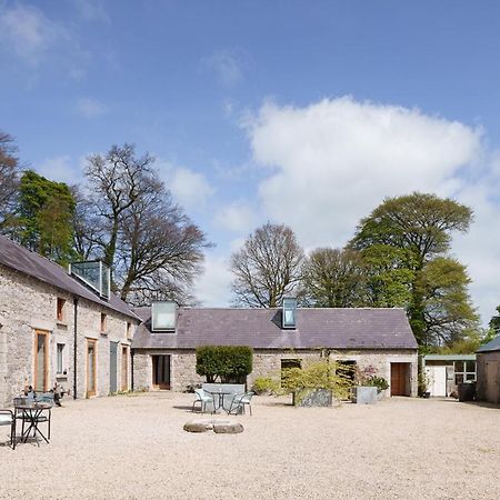 June Blake'S Garden Blessington Kültér fotó
