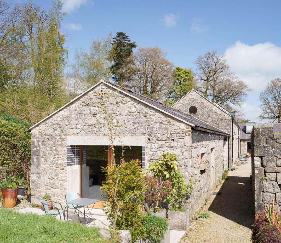 June Blake'S Garden Blessington Kültér fotó