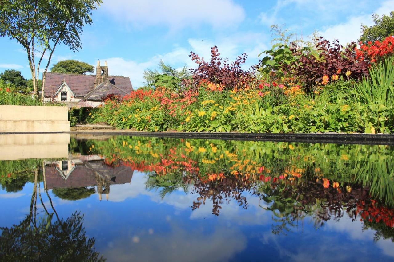 June Blake'S Garden Blessington Kültér fotó