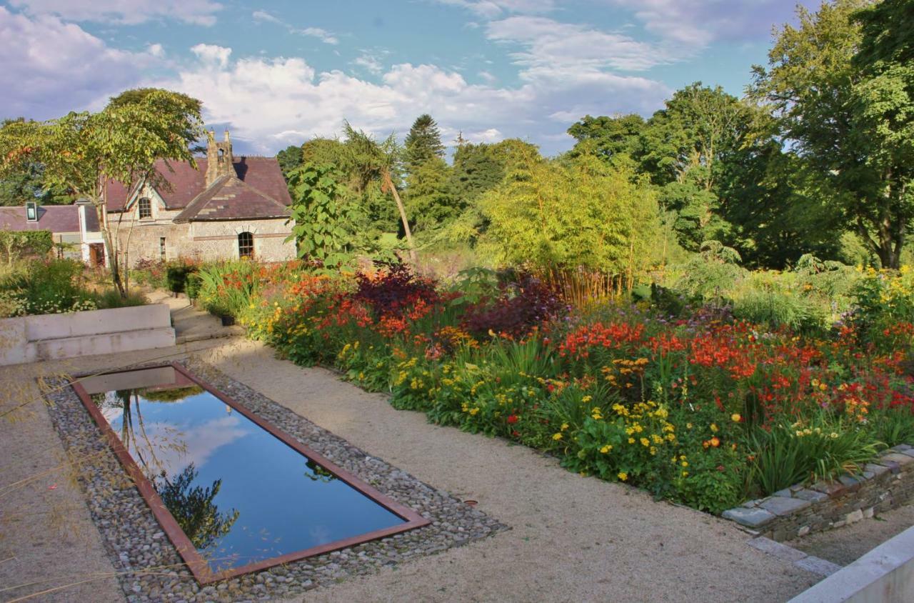 June Blake'S Garden Blessington Kültér fotó