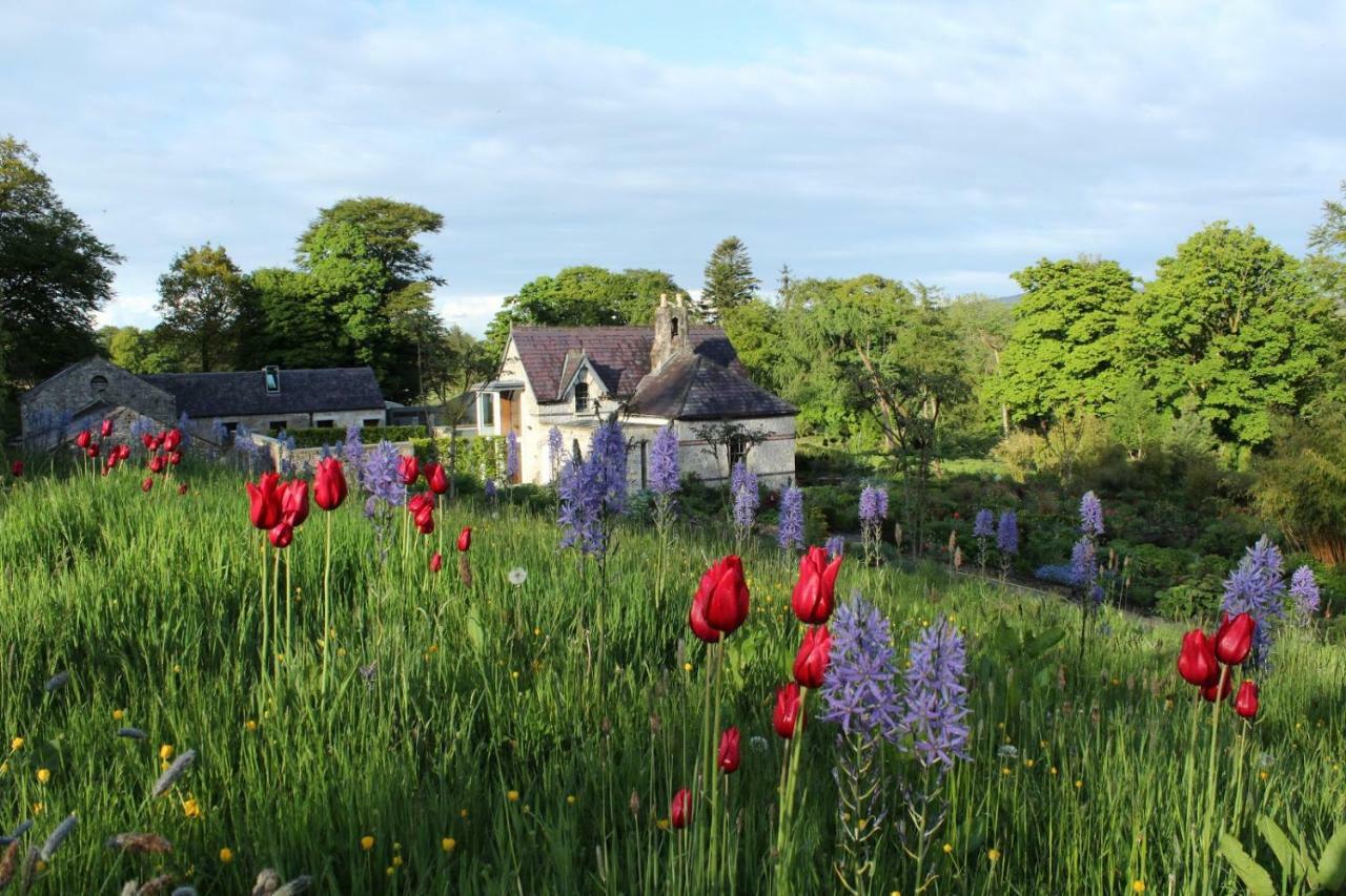 June Blake'S Garden Blessington Kültér fotó